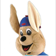 Case Study: Redesigning the Bobcat Mascot Costume 