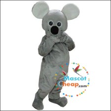 Interview with a High School Student Who Is a Mascot 