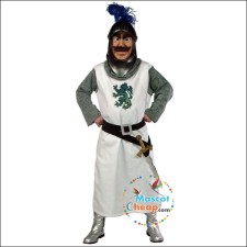 Seasonal Variations of Raccoon Mascot Costumes for Every Event 