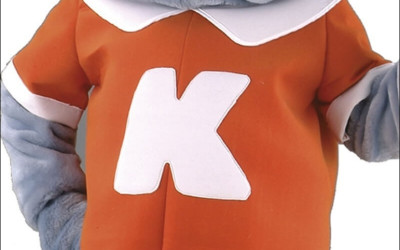 From Concept to Reality: The Creative Process Behind Custom Elephant Mascot Costumes