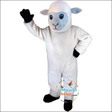 How Mascot Costumes Elevate Game Days: The Case of the Gator Mascot 