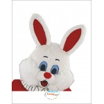 Las Vegas Rabbit Mascot Costume
