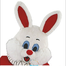 The Evolution of Falcon Mascot Costumes: From Simple to Complex Designs 