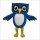 Learning Owl Mascot Costume