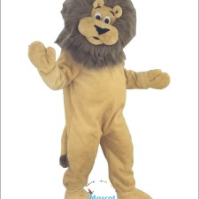 Inexpensive Options for Customized Vegetable Mascot Costumes 