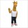 Lovely Giraffe Mascot Costume