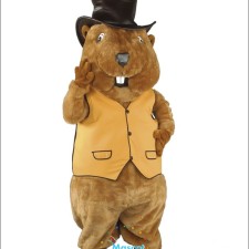 Cheap Tiger Mascot Costume Inspirations from Around the World 