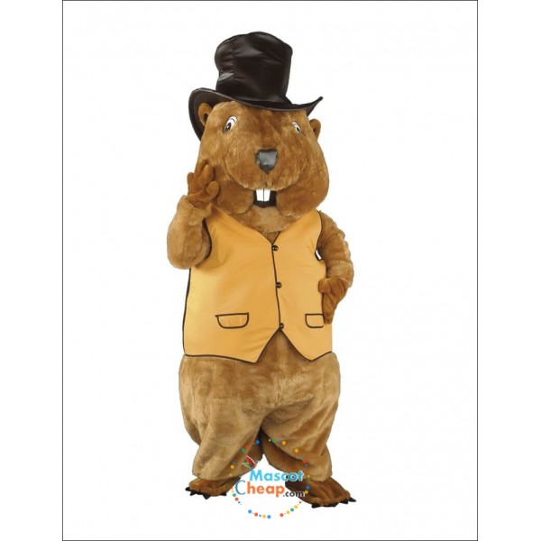 Marmot Mascot Costume