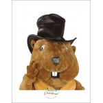 Marmot Mascot Costume