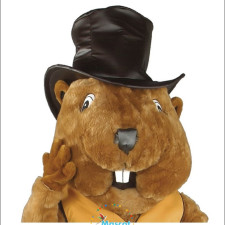 Top 10 Raccoon Mascot Costumes for Kids' Parties 