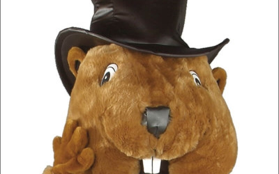 Top 10 Raccoon Mascot Costumes for Kids' Parties 