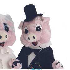 Interview with a Raccoon Mascot: Insights and Experiences 