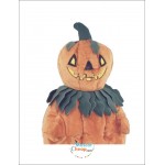 New Pumpkin Mascot Costume