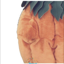 Comparing Prices for the Best Cheap Lion Mascot Costumes 