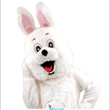 The Art of Mascot Costumess: Crafting the Perfect Identity for Teams and Brands 