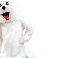 The Role of Animal Mascot Costumes in Marketing 