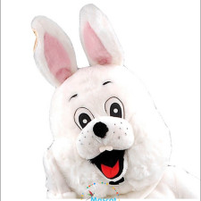 Charity Events and Mascot Costumes: Fundraising with Fun 