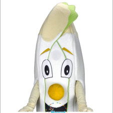 Eagle Mascot Costumes: From Design Concept to Final Product 