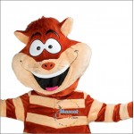 Cute Happy Cat Mascot Costume