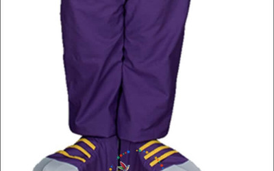 The Lion King of Dog Parks: Majestic Animal Costumes 