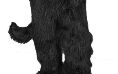 Challenges in Creating an Authentic Eagle Mascot Costume 