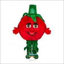 Eco-Friendly Christmas Mascot Costumes: Sustainable Options for the Holidays 