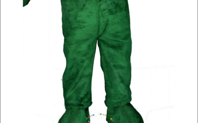 How Schools Use Vegetable Mascot Costumes to Teach Gardening and Nutrition 