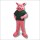 Red Happy Pig Mascot Costume