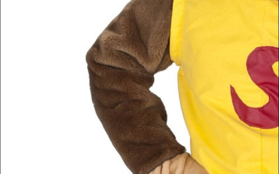 A Guide to Finding the Perfect Affordable Squirrel Mascot Costume 