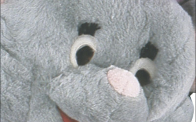 Enhancing Customer Engagement with Inflatable Mascot Costumes 