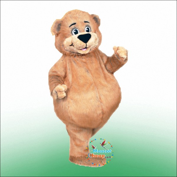 Mr Bear Mascot Costume