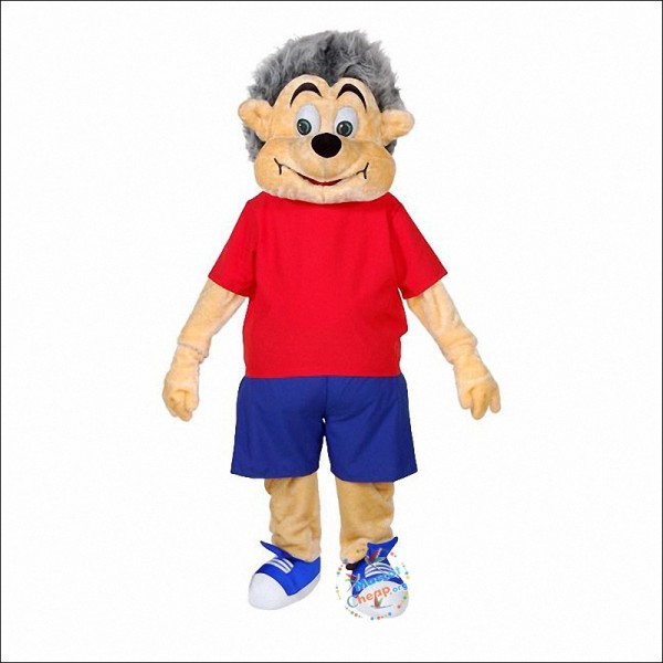 Mr Hedgehog Mascot Costume
