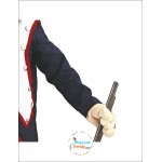 Napoleon Mascot Costume