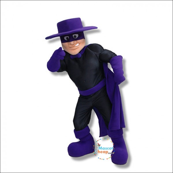 Handsome Raider Mascot Costume