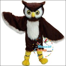 Interview with a Professional Bird Mascot Costume Creator 