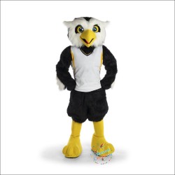 Owl Mascot Costume