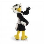 Owl Mascot Costume