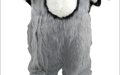 Chicken Mascot Costumes Under $50: A Comprehensive Guide