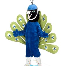 Customizing Your Cobra Mascot Costume: What You Need to Know 