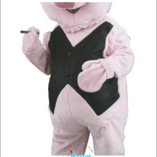 Inflatable Mascot Costumes in Action: Real-Life Success Stories 
