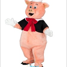 Classic vs. Modern College Mascot Costumes: A Comparative Analysis 