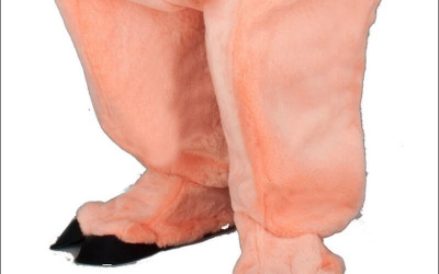 Testimonials: Real-life Stories from Bear Mascot Costume Wearers