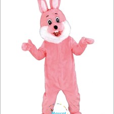 Cat Mascot Costume Success Stories: Real People, Real Adventures 