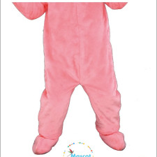 Celebrate in Style without Breaking the Bank – Cheap Raccoon Costumes 