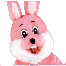 Budget-Friendly Alligator Mascot Costumes for Pet Costume Contests 