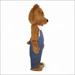 Plush Bear Custom made Mascot Costume