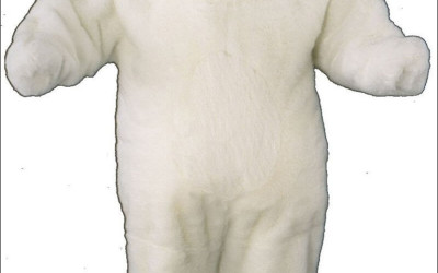 The Top Features to Look For in a High-Quality Raccoon Mascot Costume 