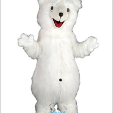 The Cultural Significance of Pigs: Reflected in Mascot Costumes 