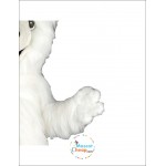 Shaggy Polar Bear Mascot Costume