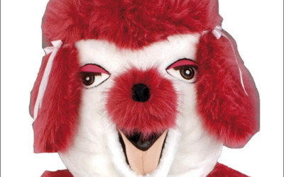 Tips for Cleaning and Maintaining Your Vegetable Mascot Costume